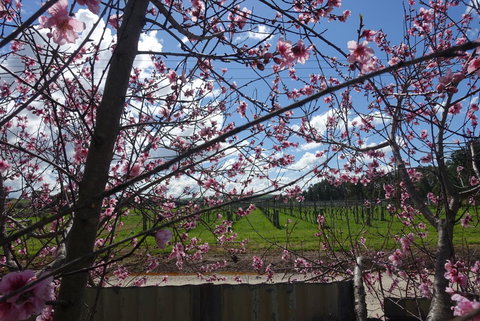 Amy\'s House Bed & Breakfast - Accommodation Newcastle 40