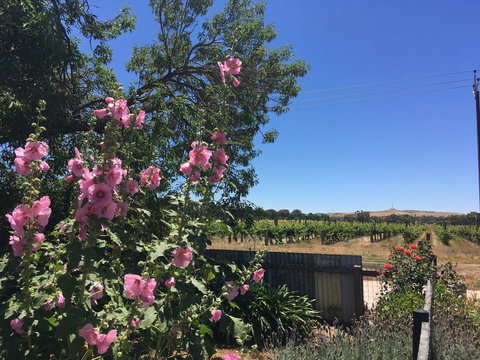 Amy\'s House Bed & Breakfast - Accommodation Newcastle 29