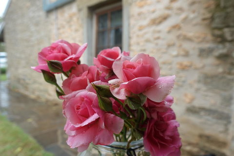 Amy\'s House Bed & Breakfast - Accommodation Newcastle 30