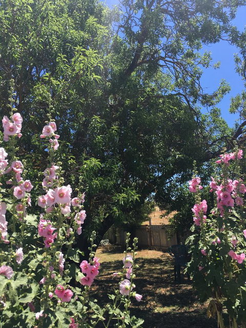 Amy\'s House Bed & Breakfast - Accommodation Newcastle 37