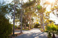 Book Tumby Bay Accommodation Vacations Accommodation Newcastle Accommodation Newcastle