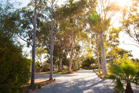 Modra\'s Apartments - Accommodation Newcastle 0