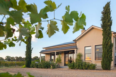 Barossa Shiraz Estate - Accommodation Newcastle 2