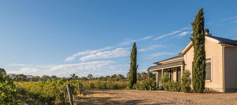 Barossa Shiraz Estate - Accommodation Newcastle 13
