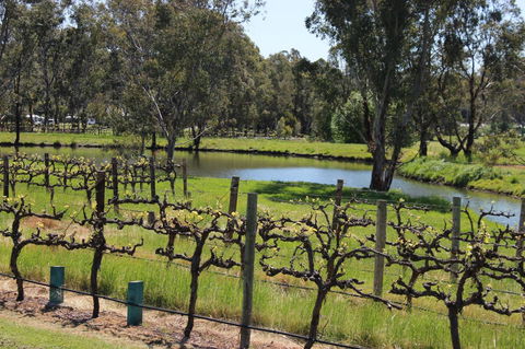 OXENBERRY FARM - Accommodation Newcastle 19