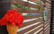Sinclair Cottage - thumb 26