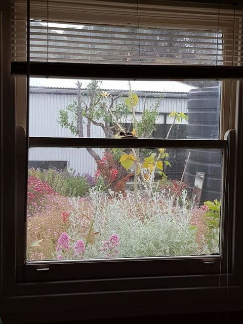 Sinclair Cottage - Accommodation Newcastle 24