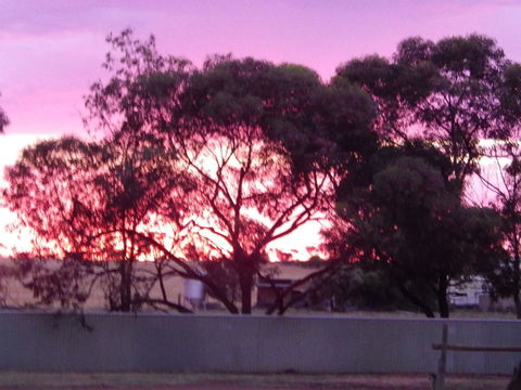 Wudinna Gawler Ranges Motel And Caravan Park - Accommodation Newcastle 11