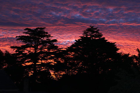 Pirralilla Estate Adelaide Hills - Accommodation Newcastle 26