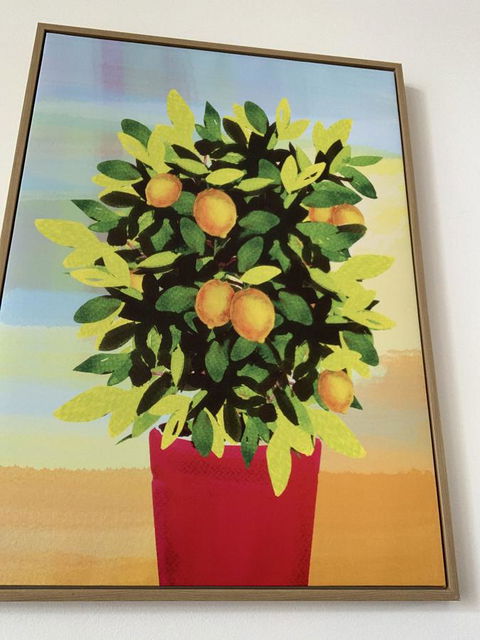 Sunshine Three - Accommodation Newcastle 2