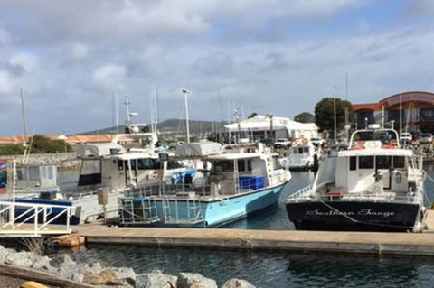 Port Lincoln Shark Apartment 2 - Accommodation Newcastle 17
