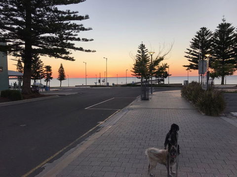 BIG4 Ceduna Tourist Park - Accommodation Newcastle 34