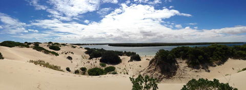 BIG4 Ceduna Tourist Park - Accommodation Newcastle 40