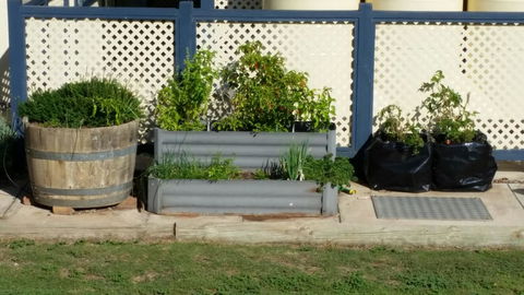 BIG4 Ceduna Tourist Park - Accommodation Newcastle 30