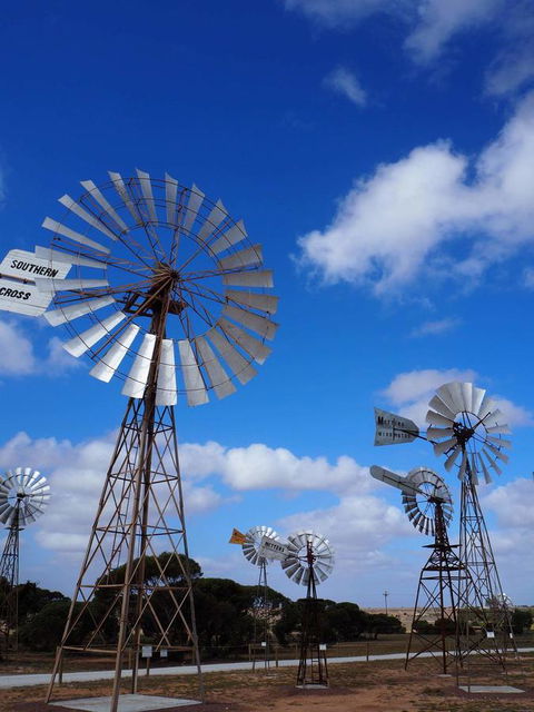 BIG4 Ceduna Tourist Park - Accommodation Newcastle 33