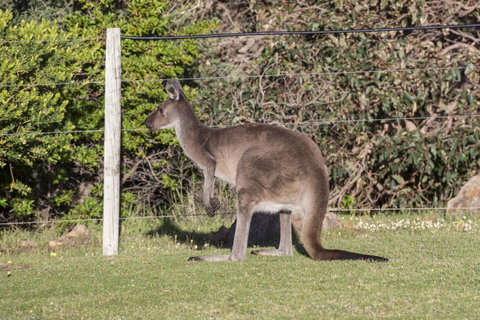 Chandlers Smiths Beach Villas - Accommodation Newcastle 15
