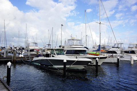 Oceanside 23 - Accommodation Newcastle 23