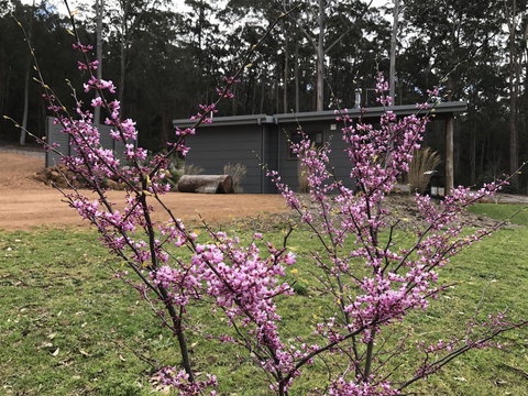 The Floating Forest - Accommodation Newcastle 15