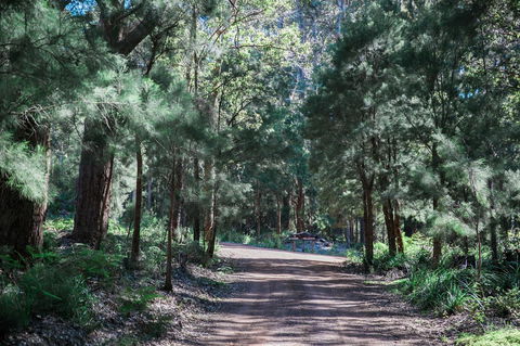 The Floating Forest - Accommodation Newcastle 30