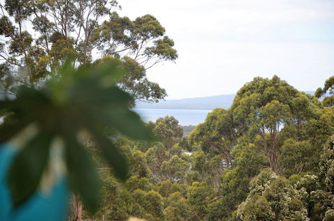 The Floating Forest - Accommodation Newcastle 8