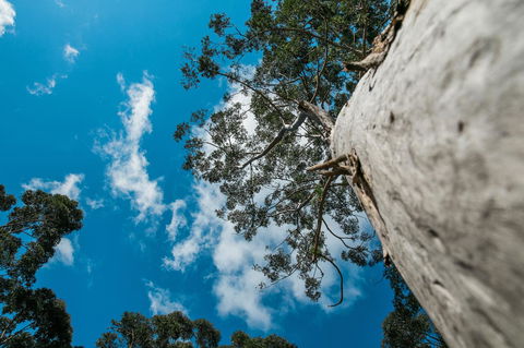 The Floating Forest - Accommodation Newcastle 36