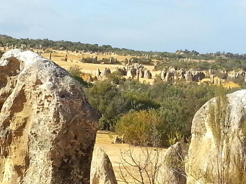 The Heights Bed & Breakfast - Accommodation Newcastle 5