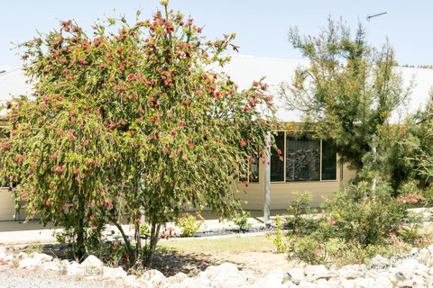 The Heights Bed & Breakfast - Accommodation Newcastle 15