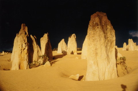 The Heights Bed & Breakfast - Accommodation Newcastle 18