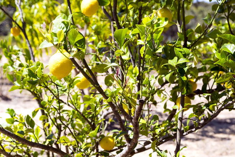 The Heights Bed & Breakfast - Accommodation Newcastle 17