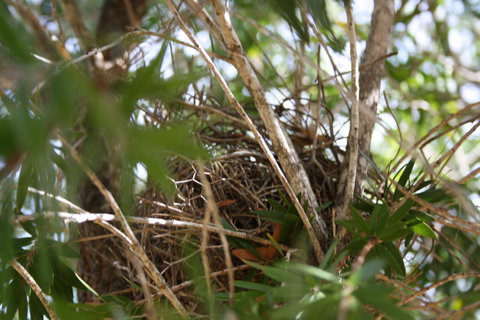 The Heights Bed & Breakfast - Accommodation Newcastle 7