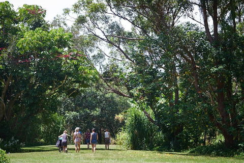 Ingenia Holidays Byron Bay - Accommodation Newcastle 11