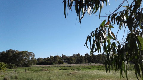 Junee Motor Inn - Accommodation Newcastle 8