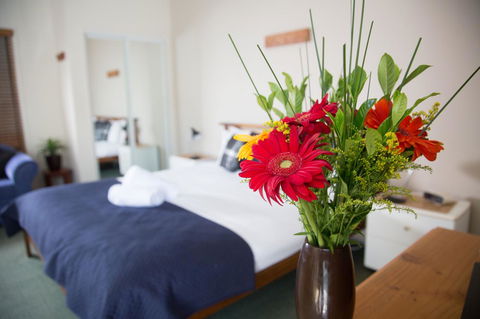 Byron Central Apartments - Accommodation Newcastle 14