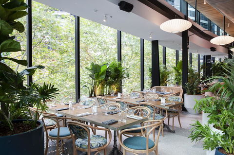 Vibe Hotel North Sydney - Accommodation Newcastle 4