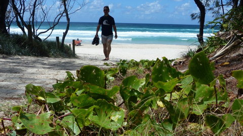 SaltBeach2302 - Accommodation Newcastle 15