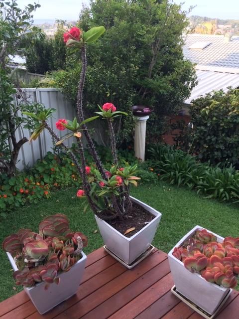 Churchill View Forster - Accommodation Newcastle 11