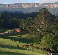 Amaroo Valley Springs - Accommodation Newcastle