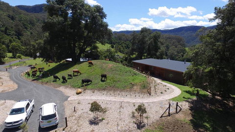 Amaroo Valley Springs - Accommodation Newcastle 19