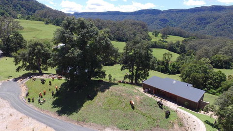 Amaroo Valley Springs - Accommodation Newcastle 18