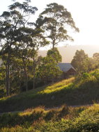Book Bawley Point Accommodation Accommodation Newcastle Accommodation Newcastle