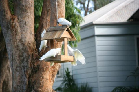Huskisson Holiday Motel Cabins - Accommodation Newcastle 29