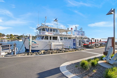 Huskisson Holiday Motel Cabins - Accommodation Newcastle 6