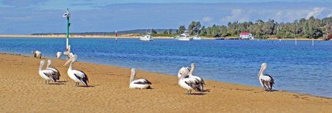 Pelican Motor Inn - Accommodation Newcastle 29