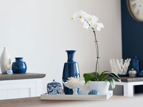 Blue View @ Fingal Bay - Accommodation Newcastle 8