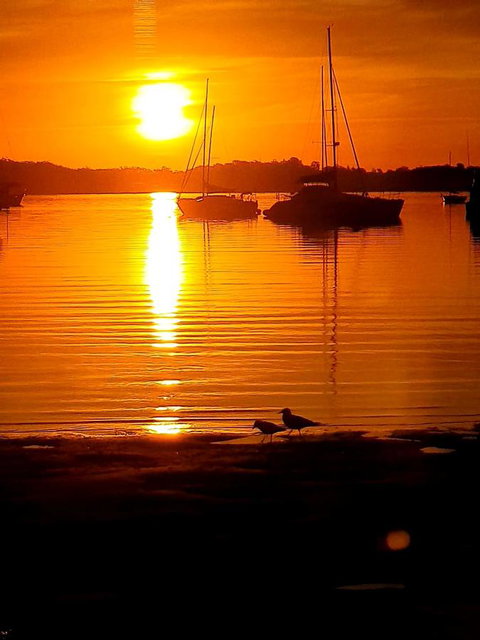 Marina Resort - Accommodation Newcastle 3