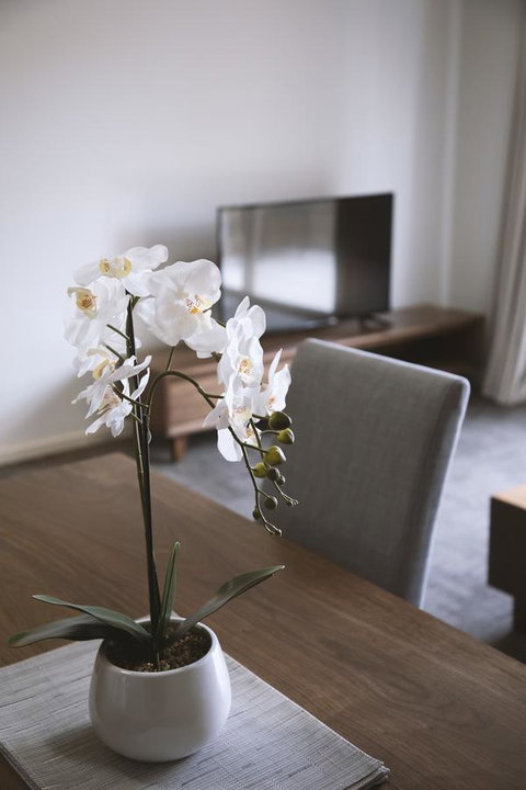 Quest Wagga Wagga - Accommodation Newcastle 11