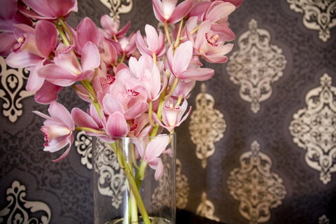 Hotel Challis Potts Point - Accommodation Newcastle 14