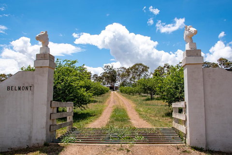 Belmont - Accommodation Newcastle 5