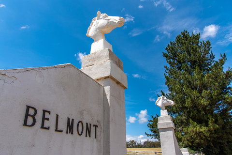 Belmont - Accommodation Newcastle 4