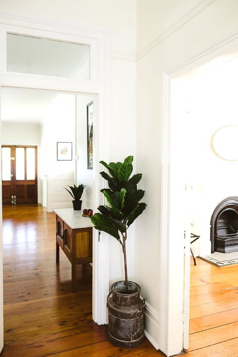 Morpeth Cottage - Accommodation Newcastle 3